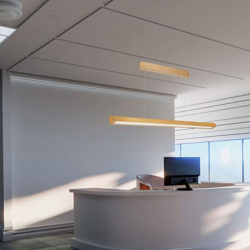 LED luster na sajli LED/36W/230V 3000/4000/6400K zlatna