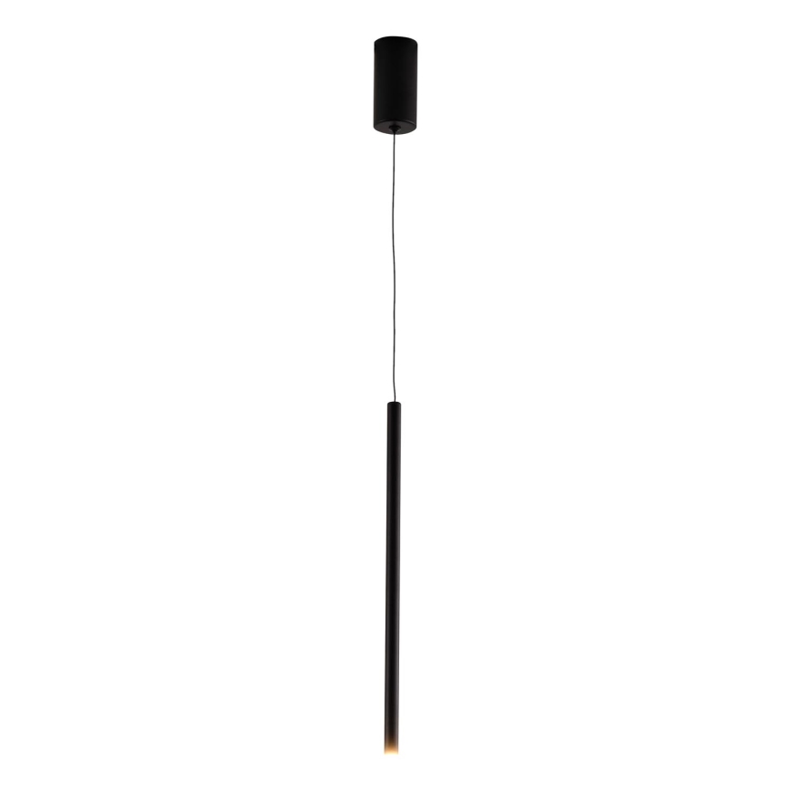 LED luster na sajli LED/3W/230V 3000K pr. 5 cm