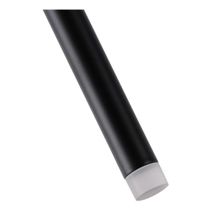 LED luster na sajli LED/3W/230V 3000K pr. 5 cm
