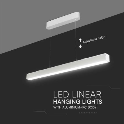 LED luster na sajli LED/40W/230V 3000/4000/6400K bela