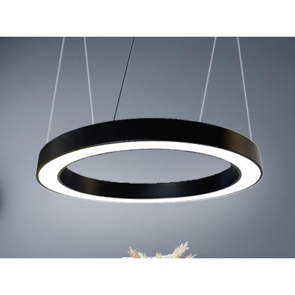 LED luster na sajli LED/50W/230V 4000K pr. 100 cm crno