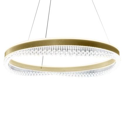 LED luster na sajli LED/52W/230V pr. 60 cm zlatna