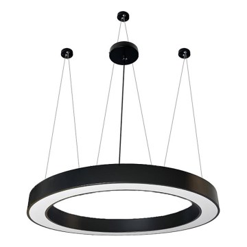 LED luster na sajli LED/60W/230V 4000K pr. 120 cm crno