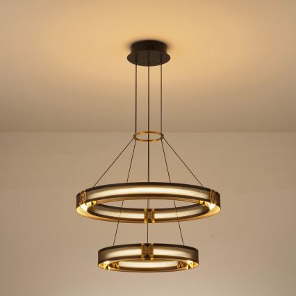 LED luster na sajli LED/62W/230V 3000K 62x120 cm