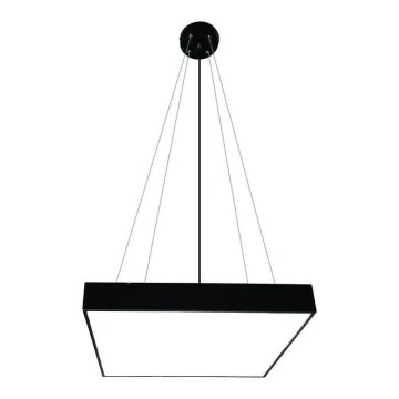 LED luster na sajli LED/65W/230V 4000K 60x60 cm