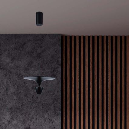 LED luster na sajli LED/9W/230V 3000K crno