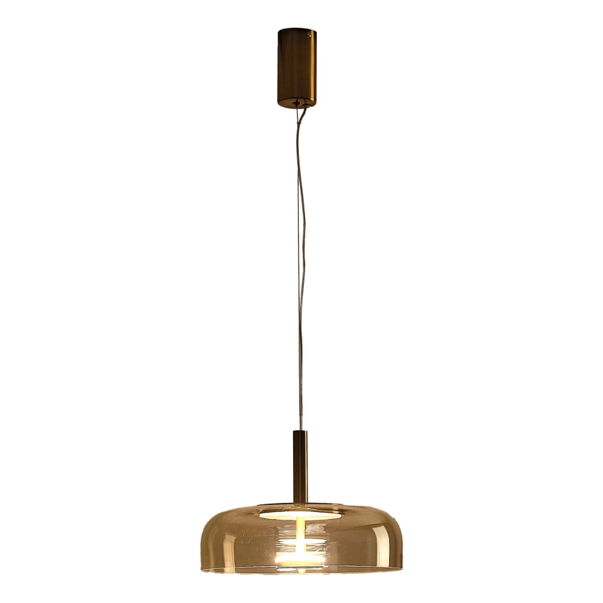 LED luster na sajli LOBBY LED/8W/230V 3000K pr. 30 cm