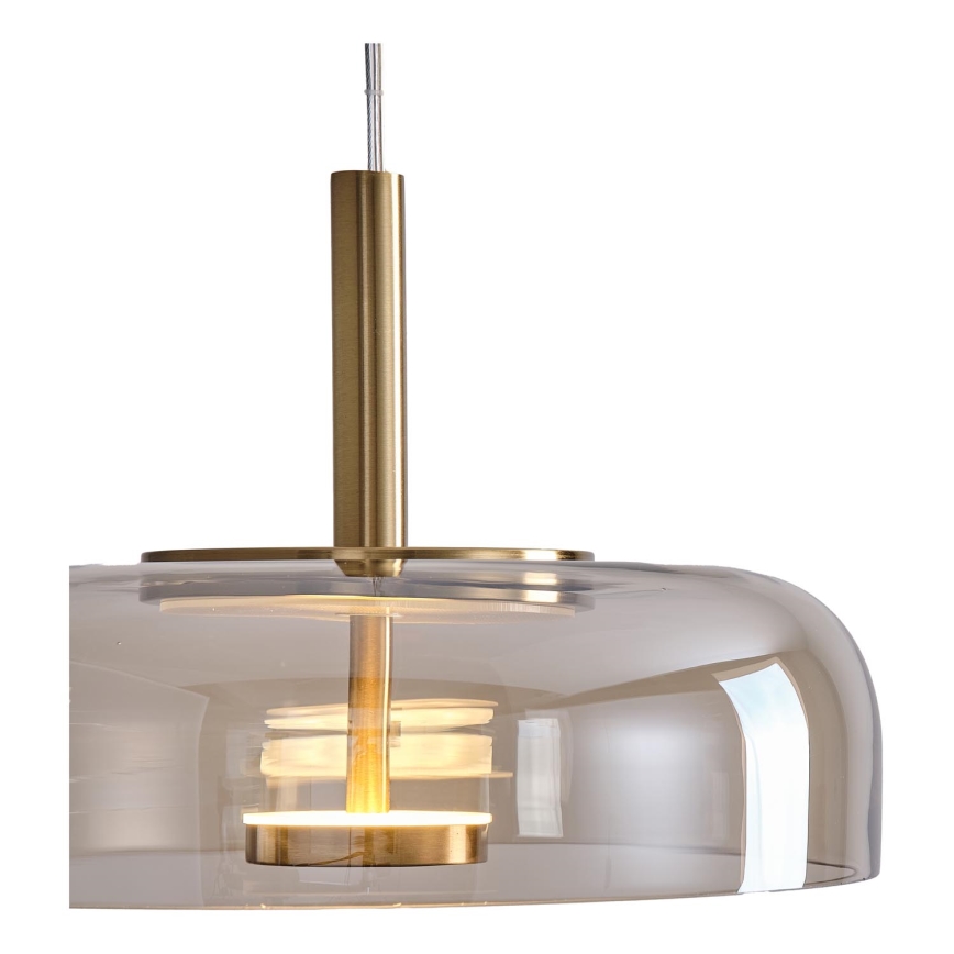 LED luster na sajli LOBBY LED/8W/230V 3000K pr. 30 cm
