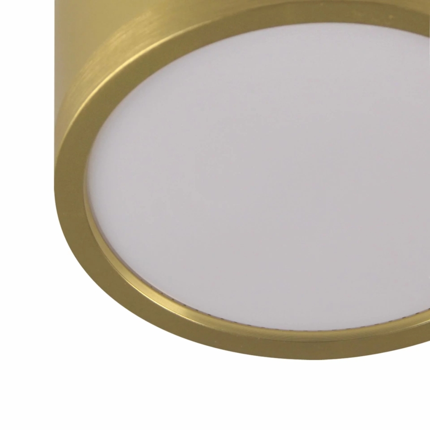 LED luster na sajli MIRELLA 3xGX53/6W/230V zlatna/crno