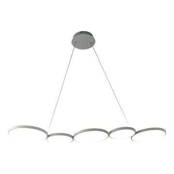 LED luster na sajli OLYMPIA 5xLED/10W/230V sivo