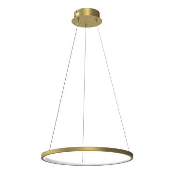 LED luster na sajli ROTONDA LED/27W/230V zlatna