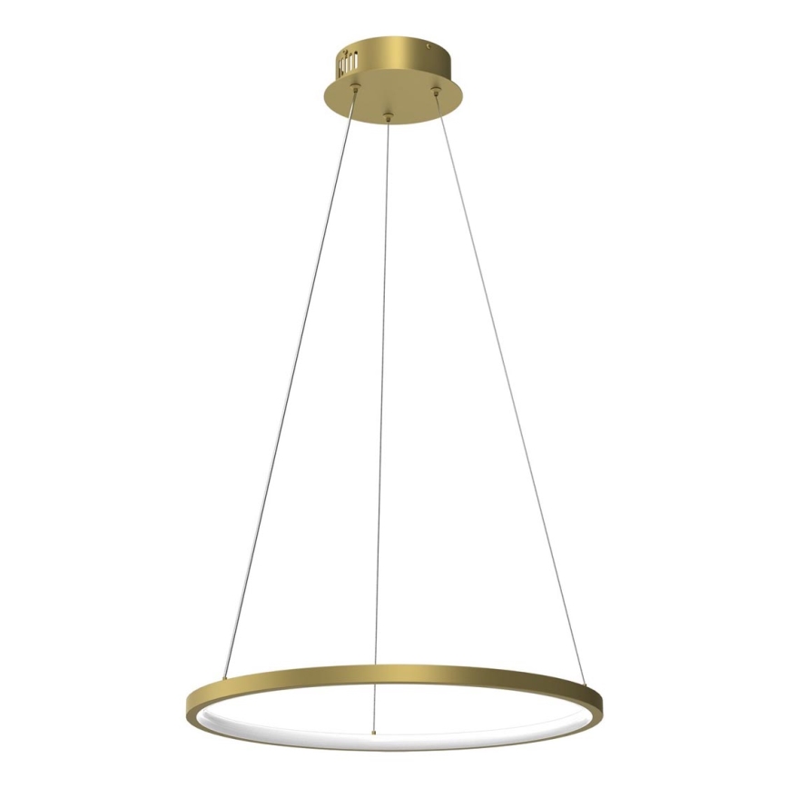 LED luster na sajli ROTONDA LED/27W/230V zlatna
