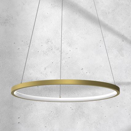 LED luster na sajli ROTONDA LED/27W/230V zlatna