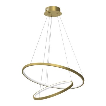 LED luster na sajli ROTONDA LED/51W/230V zlatna