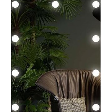 LED Ogledalo sa osvetljenjem 9xLED/1W/230V 3000/4000/6000K 50x40 cm IP44