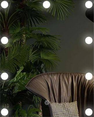 LED Ogledalo sa osvetljenjem 9xLED/1W/230V 3000/4000/6000K 50x40 cm IP44