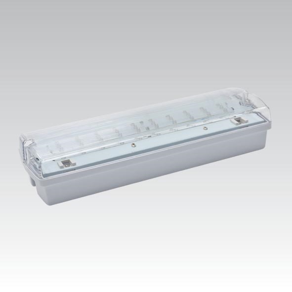LED Panik lampa CARLA LED/5,51W/230V IP65