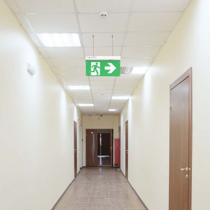LED Panik lampa EMERGENCY EXIT LED/2,5W/230V 4u1 6000K