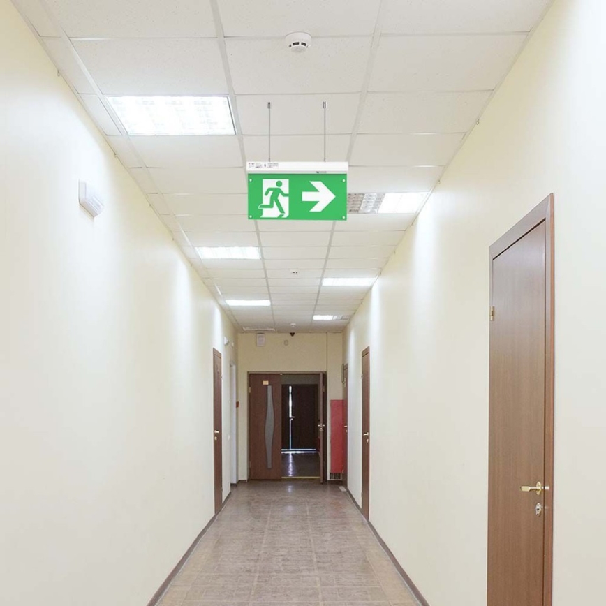 LED Panik lampa EMERGENCY EXIT LED/2,5W/230V 4u1 6000K