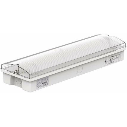 LED Panik lampa EMERGENCY EXIT LED/3W/230V 6400K IP65