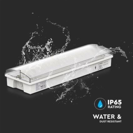 LED Panik lampa EMERGENCY EXIT LED/3W/230V 6400K IP65