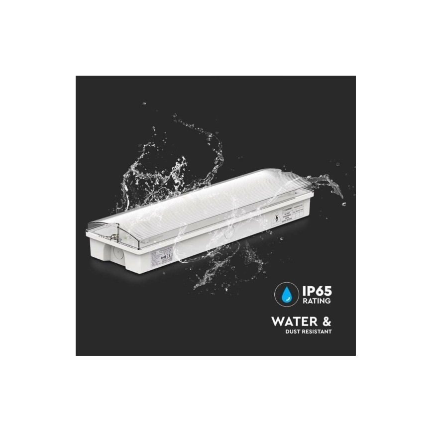 LED Panik lampa EMERGENCY EXIT LED/3W/230V 6400K IP65