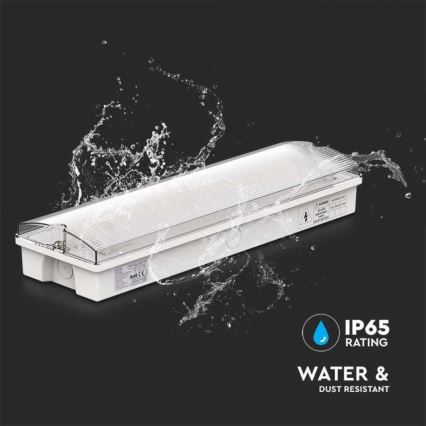 LED Panik lampa sa redovnim testom funkcionalnosti EMERGENCY EXIT LED/3W/230V 6400K IP65