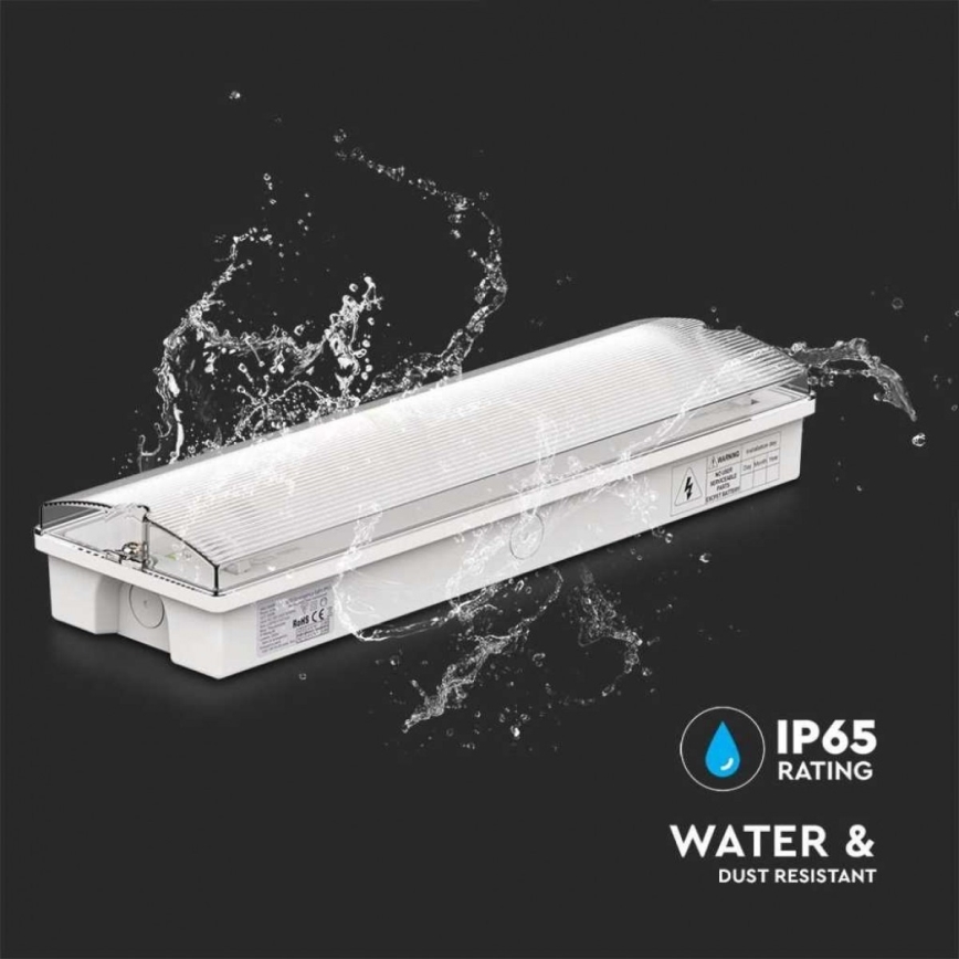 LED Panik lampa sa redovnim testom funkcionalnosti EMERGENCY EXIT LED/3W/230V 6400K IP65