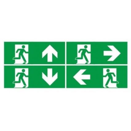 LED Panik lampa sa redovnim testom funkcionalnosti EMERGENCY EXIT LED/3W/230V 6400K IP65