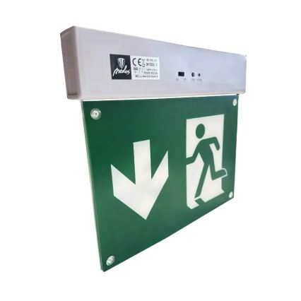LED Panik lampa LED/2W/230V 6000K 300 mAh