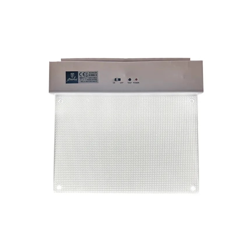 LED Panik lampa LED/2W/230V 6000K 300 mAh