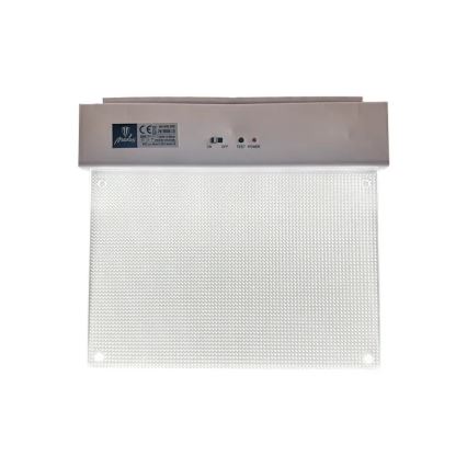 LED Panik lampa LED/2W/230V 6000K