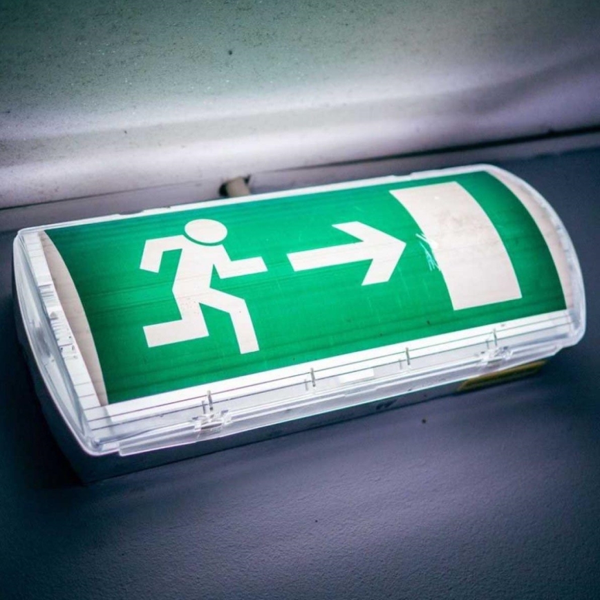 LED Panik lampa sa redovnim testom funkcionalnosti EMERGENCY EXIT LED/3W/230V 6400K IP65