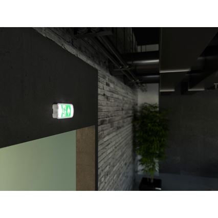LED Panik lampa VIRGO EVO LED/1W/230V 6000K IP65