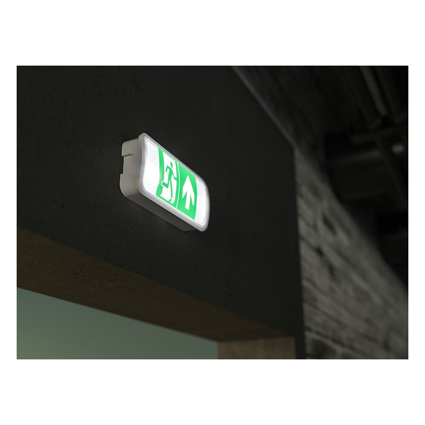 LED Panik lampa VIRGO EVO LED/1W/230V 6000K IP65