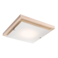 LED Plafonjera 1xLED/12W/230V bukva