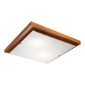LED Plafonjera 1xLED/24W/230V bukva