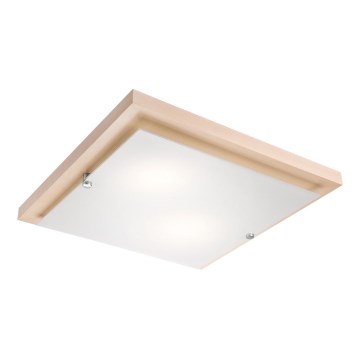 LED Plafonjera 1xLED/24W/230V bukva