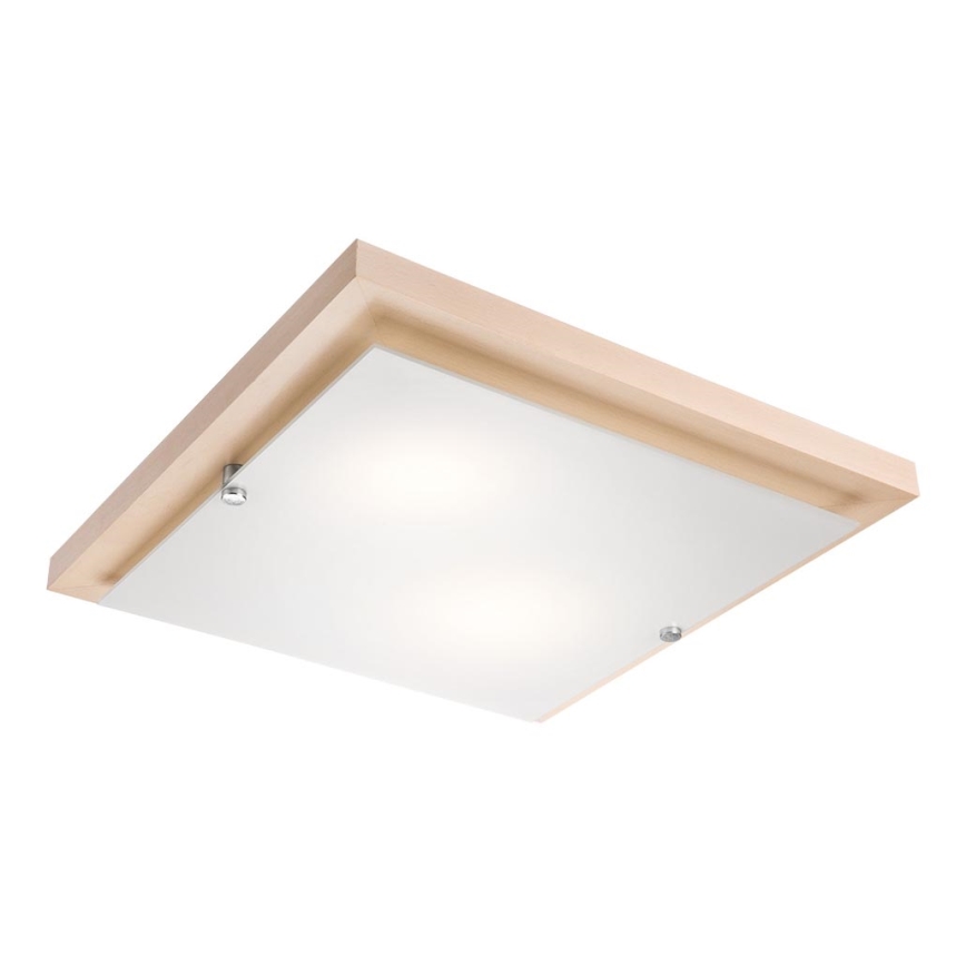 LED Plafonjera 1xLED/24W/230V bukva