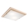 LED Plafonjera 1xLED/24W/230V bukva