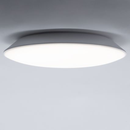 LED Plafonjera AVESTA LED/12W/230V 4000K IP54