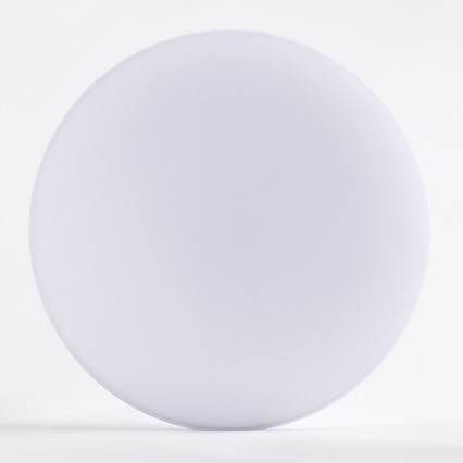 LED Plafonjera AVESTA LED/12W/230V 4000K IP54