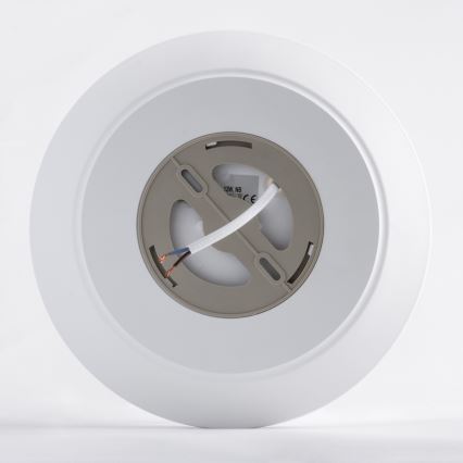 LED Plafonjera AVESTA LED/12W/230V 4000K IP54