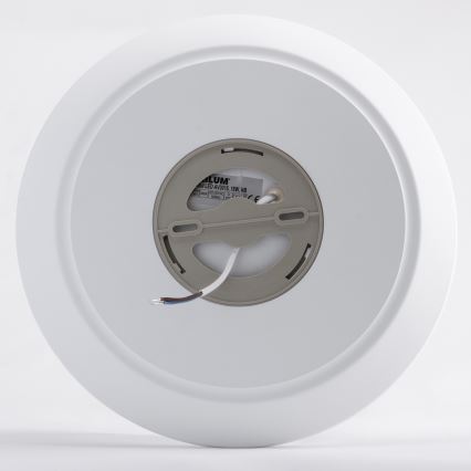 LED Plafonjera AVESTA LED/18W/230V 4000K IP54