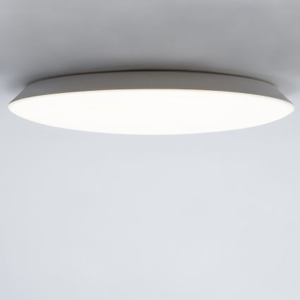 LED Plafonjera AVESTA LED/28W/230V 4000K IP54