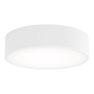 LED Plafonjera CLEO LED/24W/230V 4000K pr. 30 cm bela