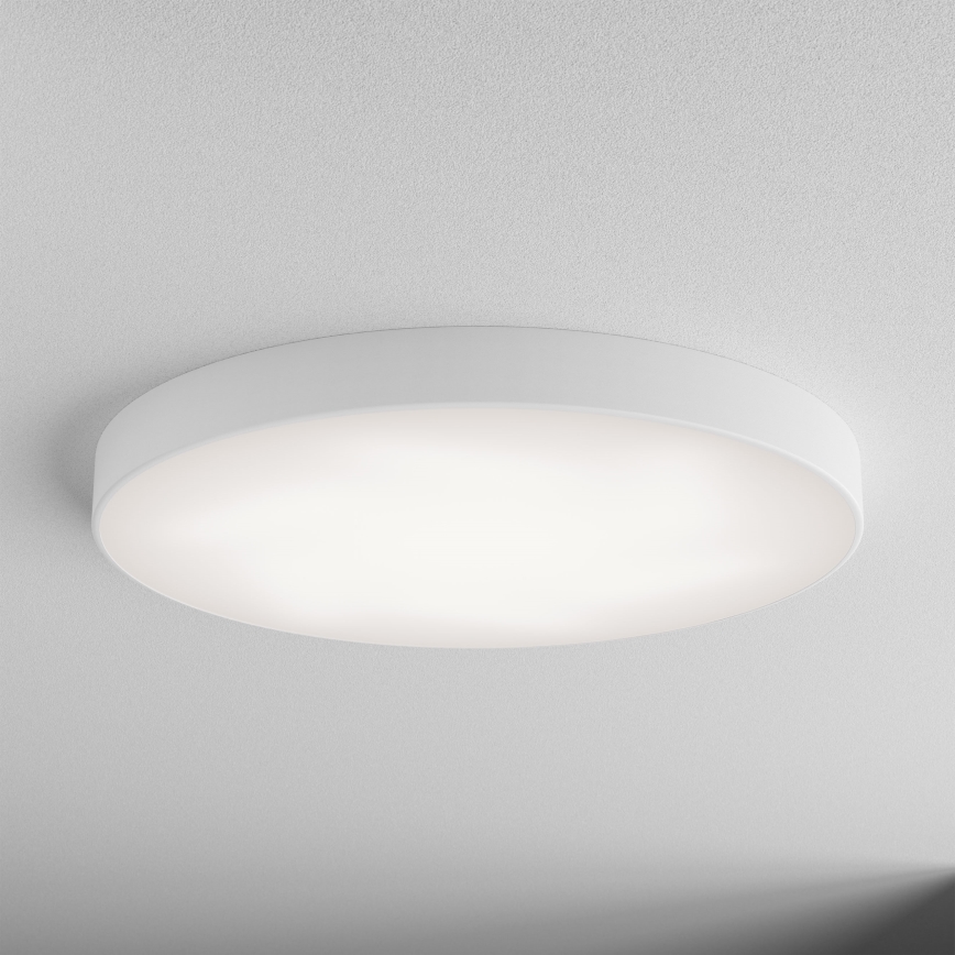 LED Plafonjera CLEO LED/96W/230V 3000K pr. 80 cm bela