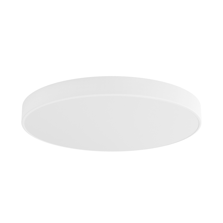 LED Plafonjera CLEO LED/96W/230V 3000K pr. 80 cm bela