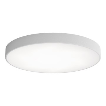 LED Plafonjera CLEO LED/96W/230V 3000K pr. 80 cm sivo