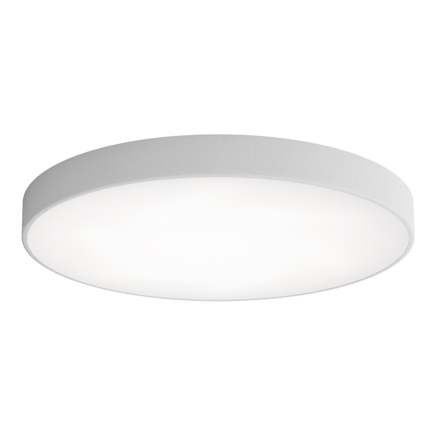 LED Plafonjera CLEO LED/96W/230V 3000K pr. 80 cm sivo